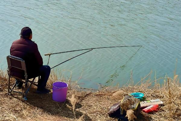 蚯蚓钓鱼效果好不好，效果较好