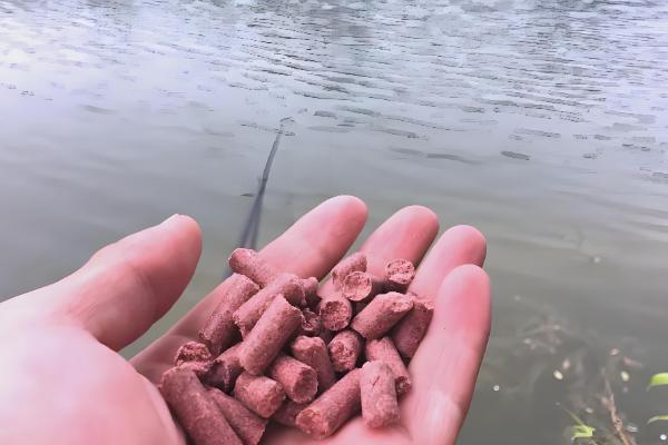 蚯蚓钓鱼效果好不好，效果较好