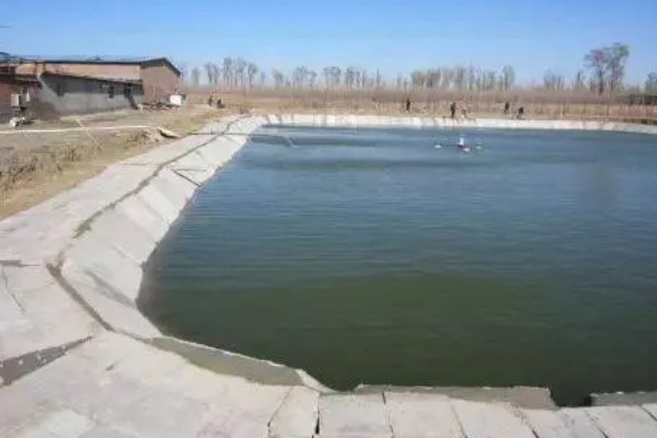 大闸蟹的养殖技术，通常是以植物性的饲料为主