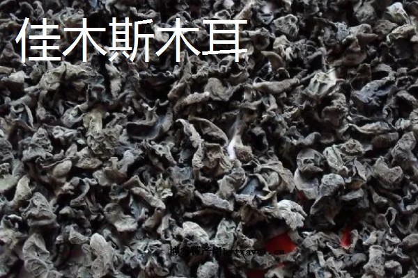 黑龙江桦川县的特产,花尾棒鸡属于野味中的上等佳肴
