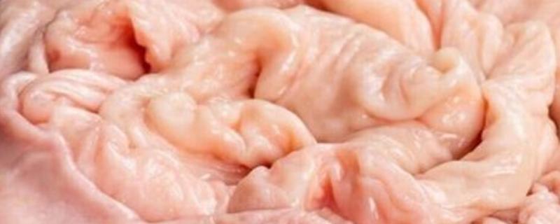 猪大肠头是不是肛门，是指猪的直肠