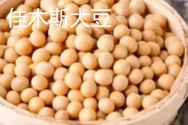 黑龙江桦川县的特产,花尾棒鸡属于野味中的上等佳肴