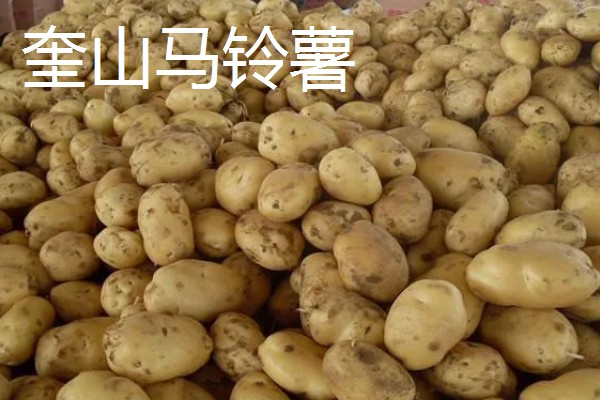 黑龙江桦川县的特产,花尾棒鸡属于野味中的上等佳肴