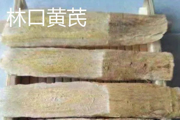 黑龙江桦川县的特产,花尾棒鸡属于野味中的上等佳肴