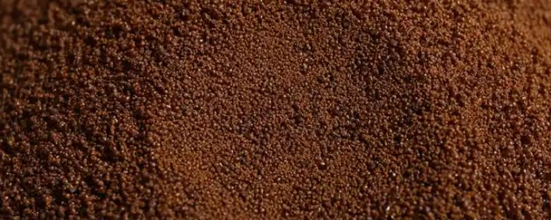 咖啡粉能当肥料种花吗，能当肥料种植花卉