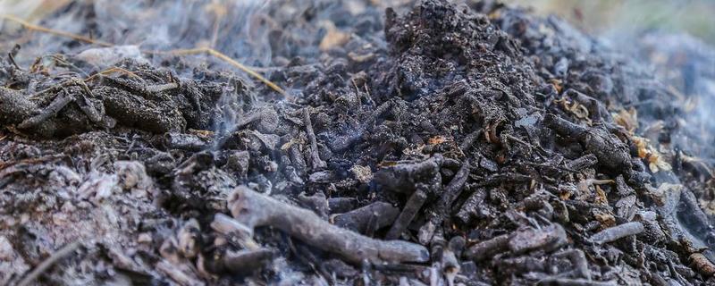 怎么保存草木灰，不宜与硫酸铵和硝酸铵混存