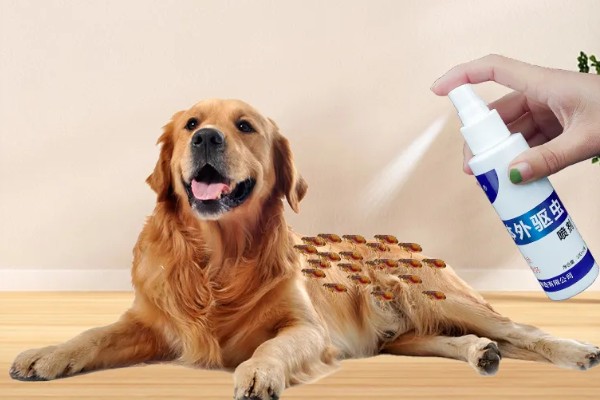 有什么方法能去除狗身上的跳蚤，可以给狗狗做药浴