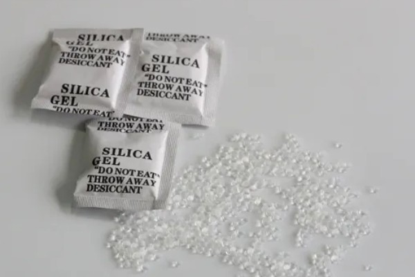 如何预防遛狗时乱吃东西,建立口令和奖励机制进行训练