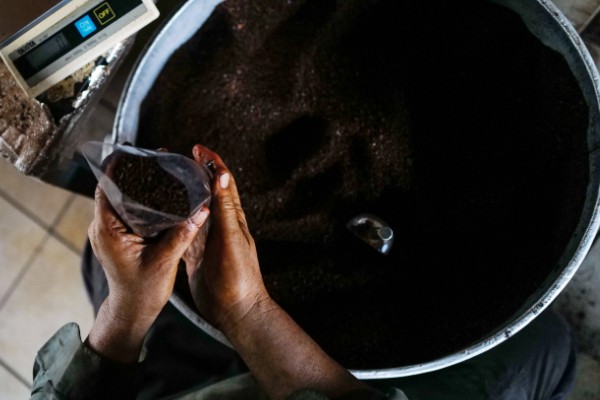 咖啡粉能当肥料种花吗，能当肥料种植花卉