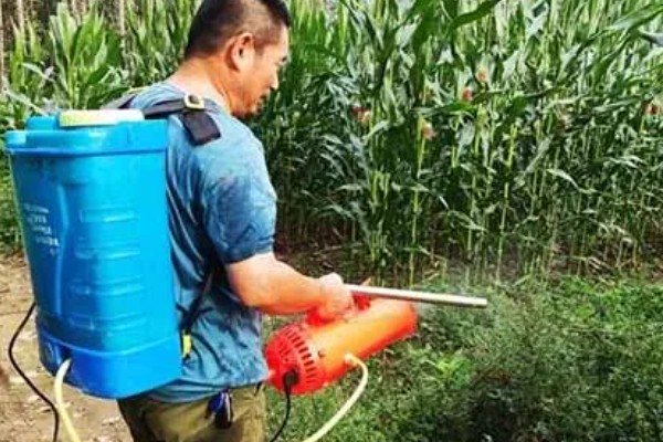 玉米穗上的虫子怎么防治,可生物防治也可化学防治