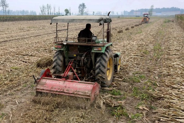 玉米穗上的虫子怎么防治,可生物防治也可化学防治