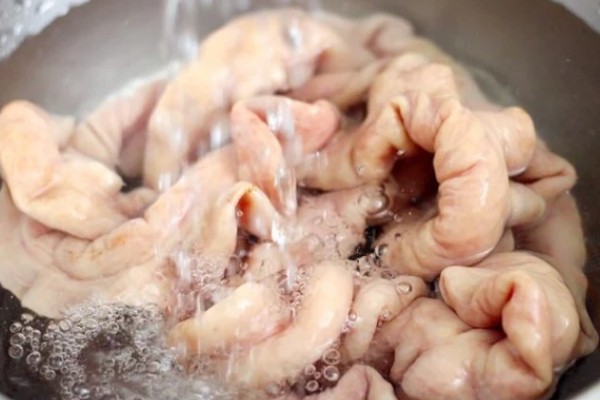 猪大肠头是不是肛门，是指猪的直肠