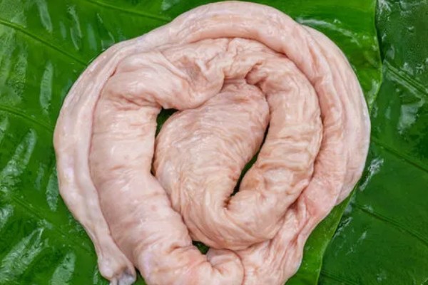 猪大肠头是不是肛门，是指猪的直肠