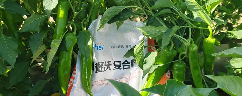 水溶肥有什么知名品牌，以下10种很有知名度