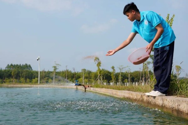 花鲢的食物有哪些，主食浮游生物