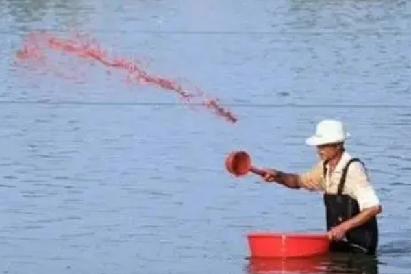 花鲢的食物有哪些，主食浮游生物