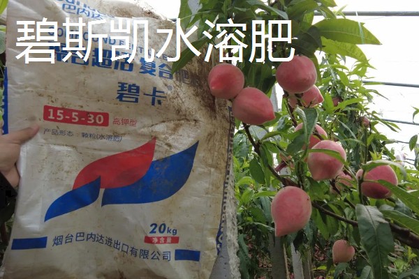 水溶肥有什么知名品牌，以下10种很有知名度