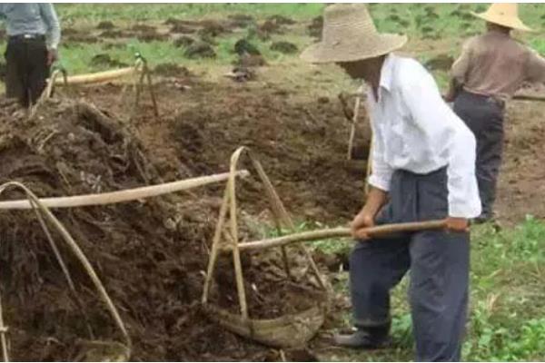 化肥与农家肥搭配使用要注意什么，农家肥应在播种前施入