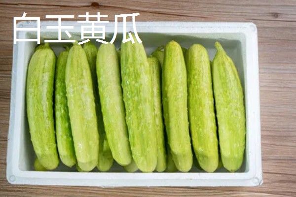 口感好的黄瓜品种，推荐地黄瓜、白玉黄瓜等