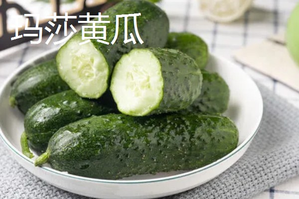 口感好的黄瓜品种，推荐地黄瓜、白玉黄瓜等