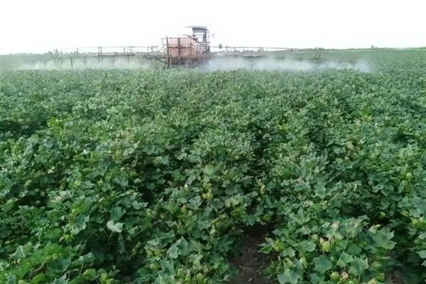 涕灭威的简介，属于高毒农药