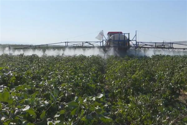 涕灭威的简介，属于高毒农药