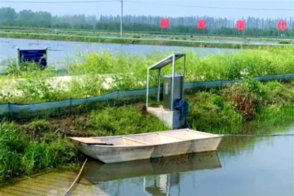 小龙虾开春几月份喂食,3月份就可以