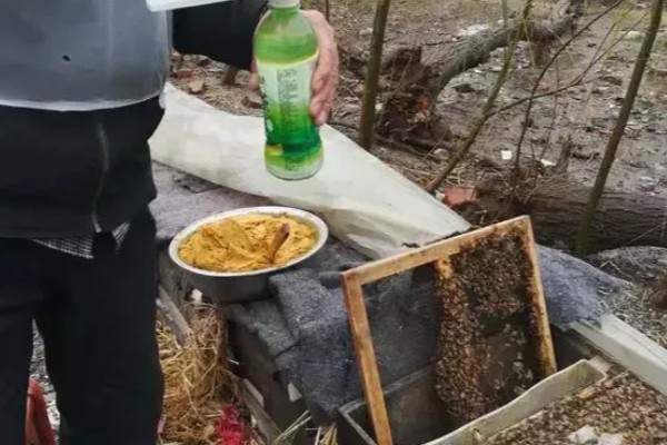 中蜂喂糖周期，秋繁时要持续饲喂到越冬前1-2周