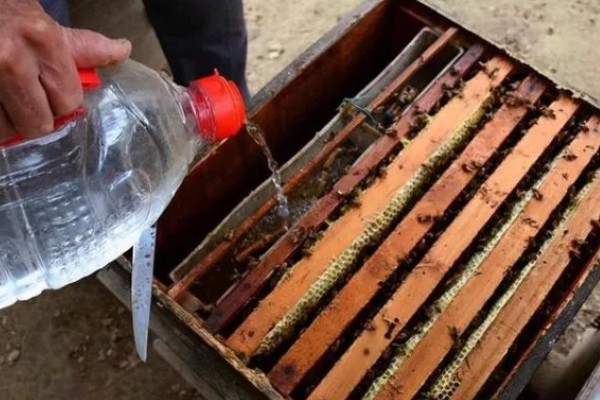中蜂喂糖周期，秋繁时要持续饲喂到越冬前1-2周