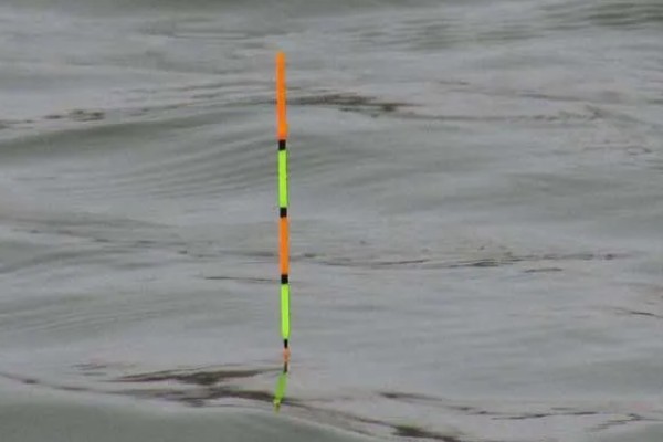 浮漂慢慢黑漂是上了什么鱼，可能是大鱼吃饵导致的