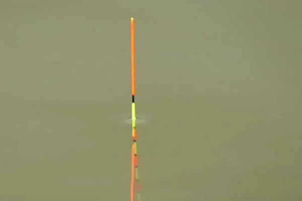 浮漂慢慢黑漂是上了什么鱼，可能是大鱼吃饵导致的