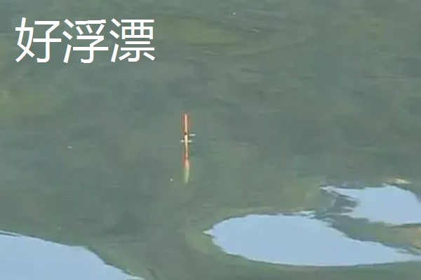浮漂慢慢黑漂是上了什么鱼，可能是大鱼吃饵导致的