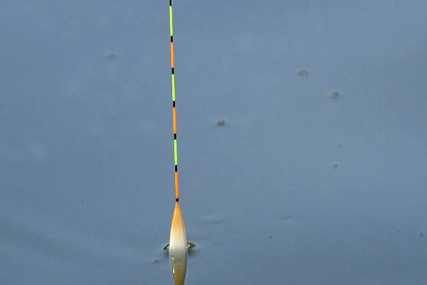 大河里钓鲢鳙一般钓多深，一般钓2-3米深