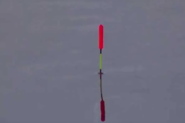 大河里钓鲢鳙一般钓多深，一般钓2-3米深