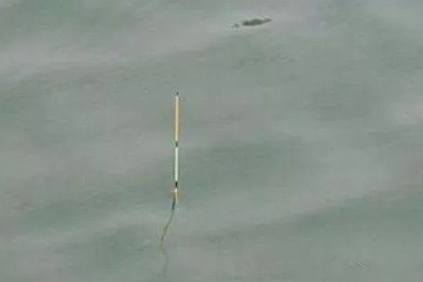 大河里钓鲢鳙一般钓多深，一般钓2-3米深