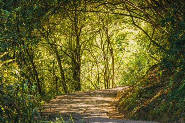 森林土壤与草原土壤哪个有机质含量多，草原土壤的有机质更充足