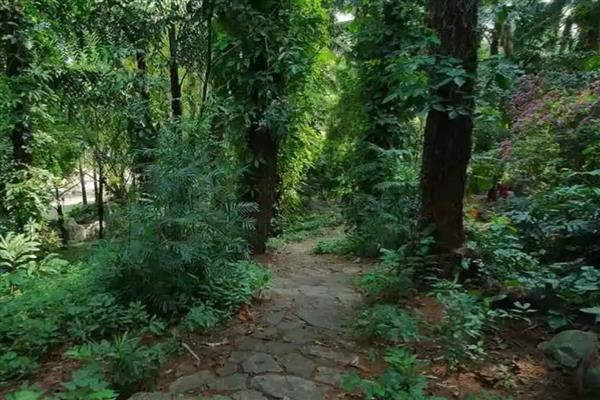 森林土壤与草原土壤哪个有机质含量多，草原土壤的有机质更充足