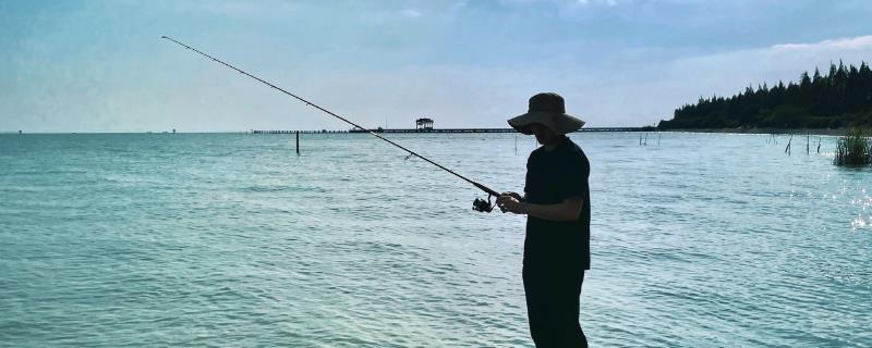 钓鲶鱼用几号钩和几号线，大个体的鲶鱼建议用3-5号千又钩