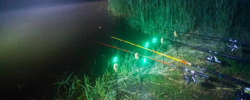 冬季夜钓要钓深吗，气温较低一般适合钓深