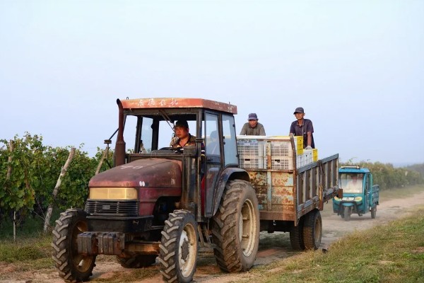 避免拖拉机滑陷的方法，作业时，要在田内灌水3-5cm深