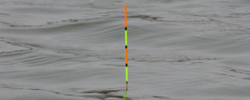 鱼漂种类划分，常见立式漂、卧式漂、球形漂、七星漂