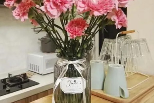 康乃馨冬季会被冻死吗，在北方露地过冬可能会死亡