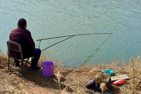 玉米打窝钓什么鱼，包括鲤鱼、青鱼、鲫鱼等