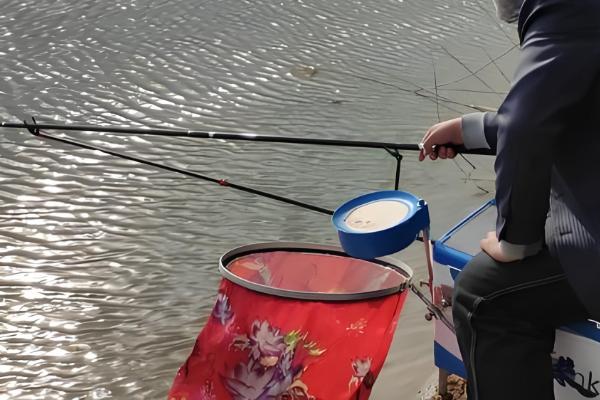 玉米打窝钓什么鱼，包括鲤鱼、青鱼、鲫鱼等