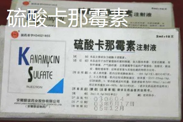 鸡的药物残留期是多长时间,不同药物的残留时间不同