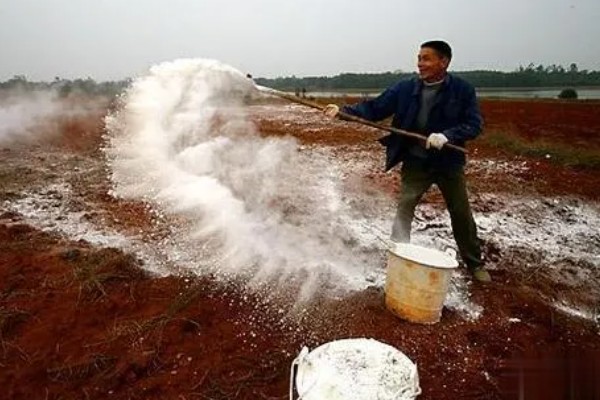 怎样改良酸性土壤，施加的基肥以农家肥为主