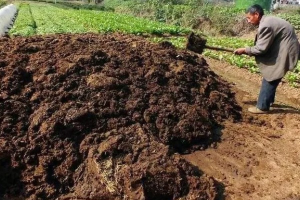 怎样改良酸性土壤，施加的基肥以农家肥为主