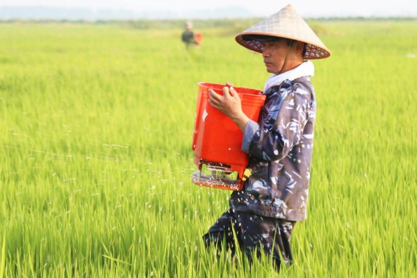 怎样改良酸性土壤，施加的基肥以农家肥为主