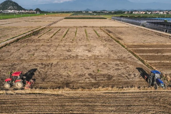 怎样改良酸性土壤，施加的基肥以农家肥为主