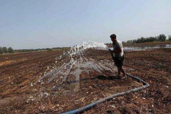 怎样改良酸性土壤，施加的基肥以农家肥为主